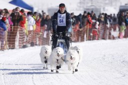 Lenk 2013